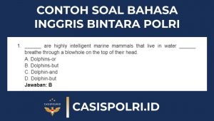 (PDF) Contoh Soal Bahasa Inggris Bintara Polri Dan Jawaban - Bimbingan ...